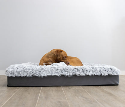 Large ORA Therapy Bed
