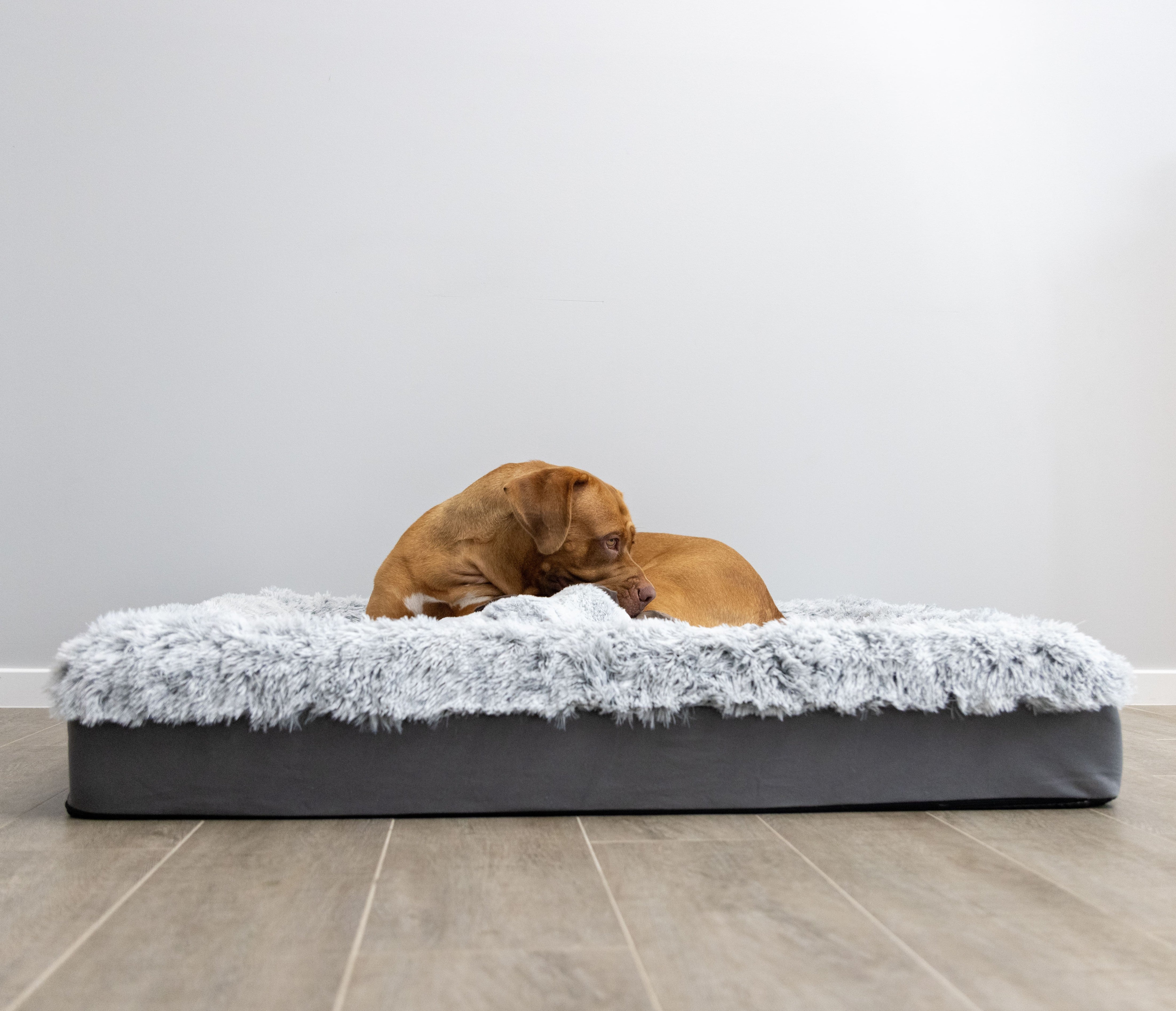Large ORA Therapy Bed