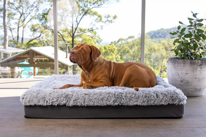 Large ORA Therapy Bed